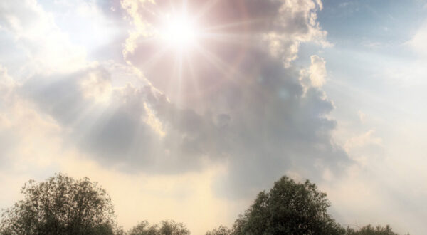 bright white sky with light flair from the sun with tree tips at the bottom