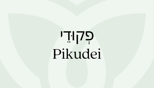 Light green background featuring the word Pikudei n Hebrew and English
