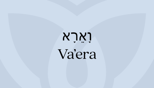 Gray background featuring the Va'era in Hebrew and English