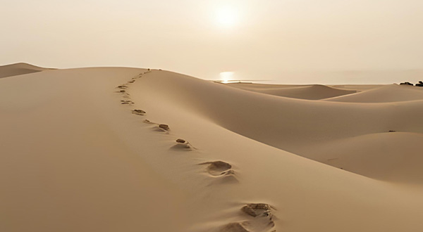 Footprints in the sand