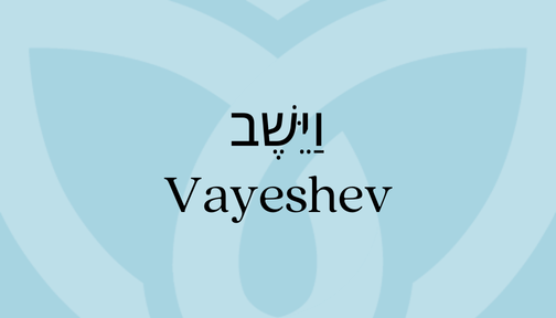 Light blue background with overlaid text featuring Vayeshev in Hebrew and English