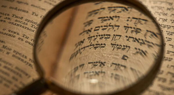 Neurodivergent Torah