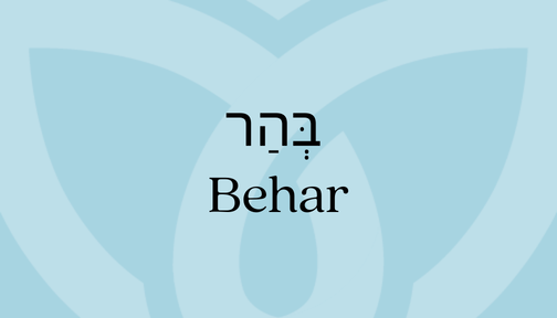 Light blue background featuring the word Behar in Hebrew and English