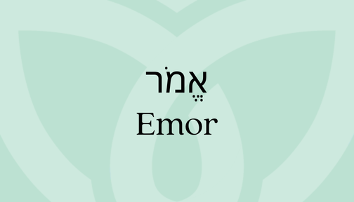 Green background featuring the word Emor in Hebrew and English