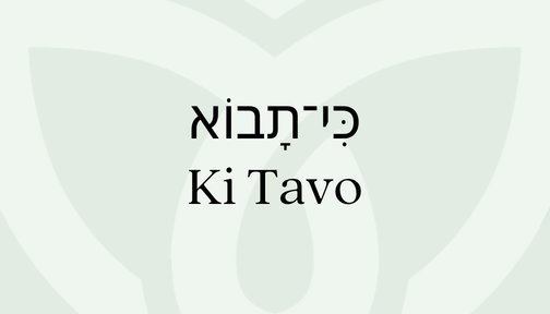 Light green background with the words Ki Tavo featured in Hebrew and English