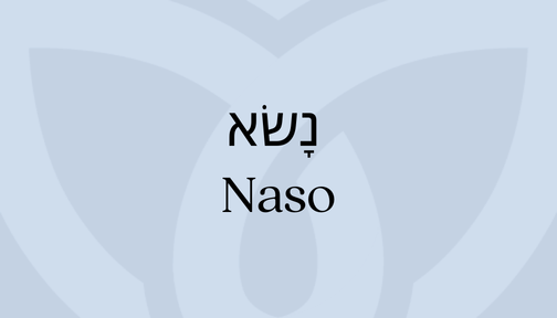 Light gray background with Naso featured in Hebrew and English
