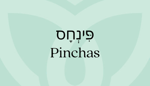 Green background with the word Pinchas featured in Hebrew and English