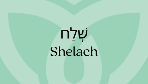 Green background featuring the word Shelach in Hebrew and English