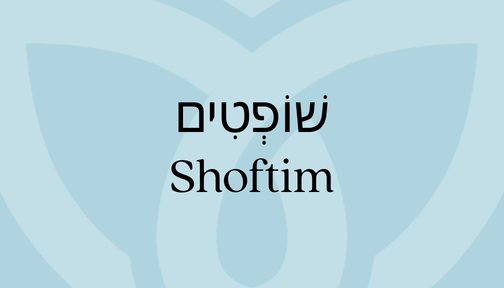 Light blue background with the word Shoftim featured in Hebrew and English