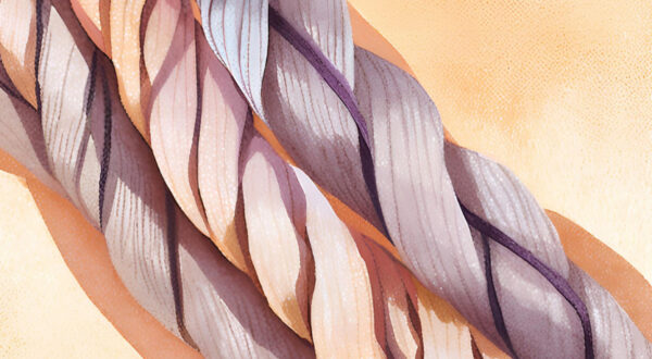 Three braided segments with yellow background