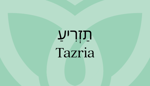 Green background featuring the word Tazria in Hebrew and English