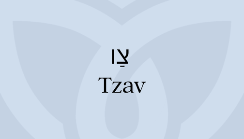 Light gray background featuring the word TZAV in Hebrew and English