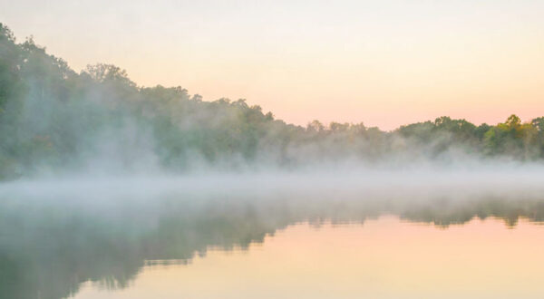 Light orange sky reflected on the water with trees and mist separating sky from water