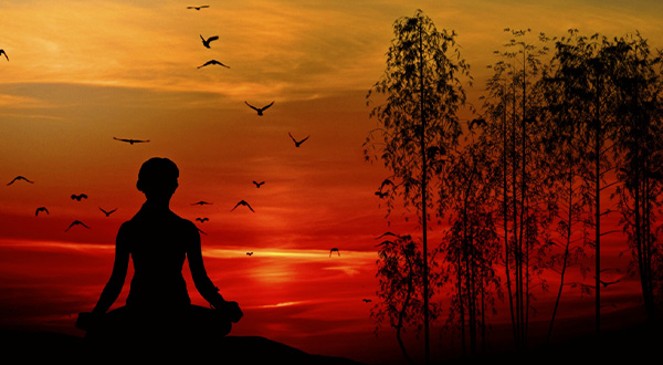 silouetted figure in a meditative pose with deep red sky in the distance with tree and flying birds overhead